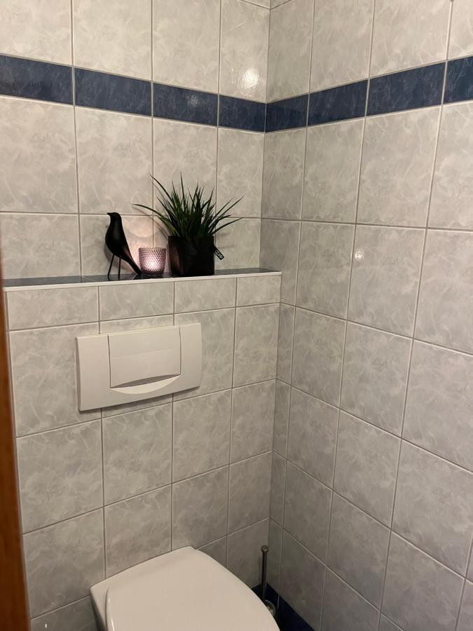 Appartement Stahlhammer 플라차우 외부 사진